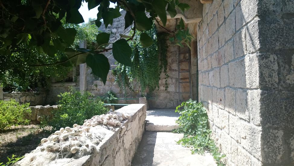 Apartment and Room Silvana