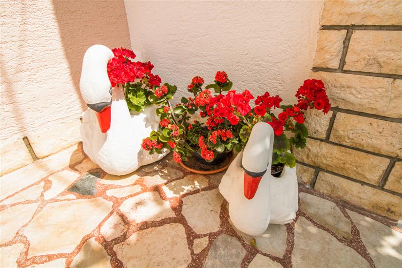 Apartamenty i Pokoje Albina