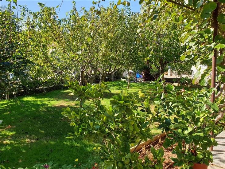 Apartment A3, for 5 persons