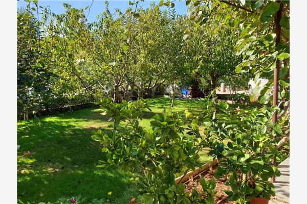 Apartment A3, for 5 persons