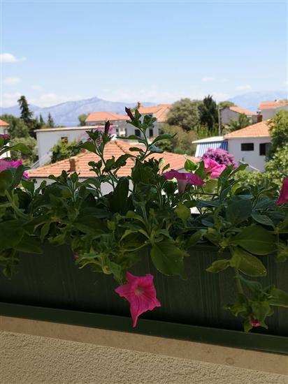 Apartment A1, for 3 persons