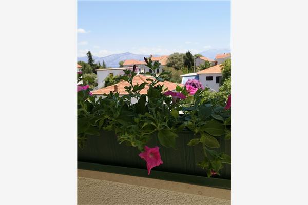 Apartment A1, for 3 persons