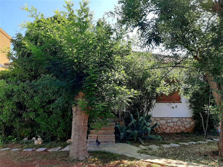 House Leticija  rustica