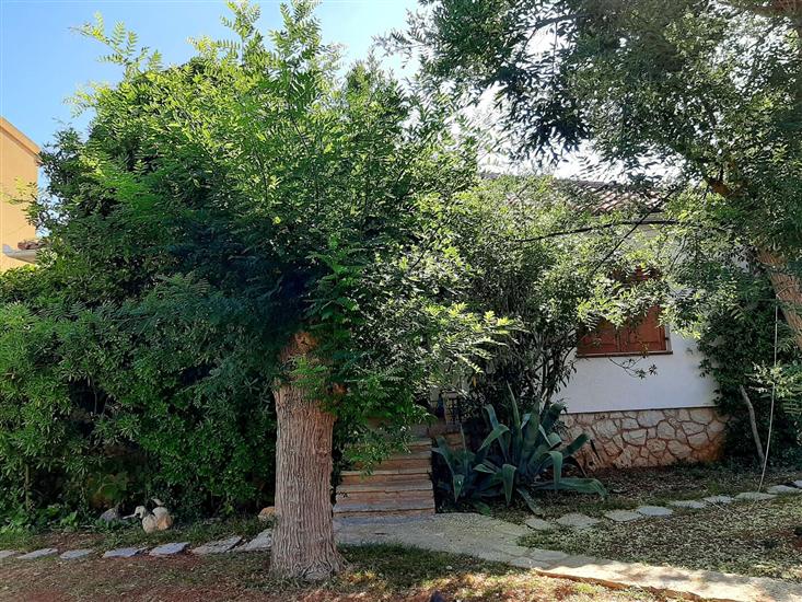 House Leticija  rustica