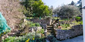 Apartment - Supetar - island Brac