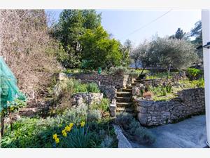 Apartment Middle Dalmatian islands,BookLadaFrom 145 €