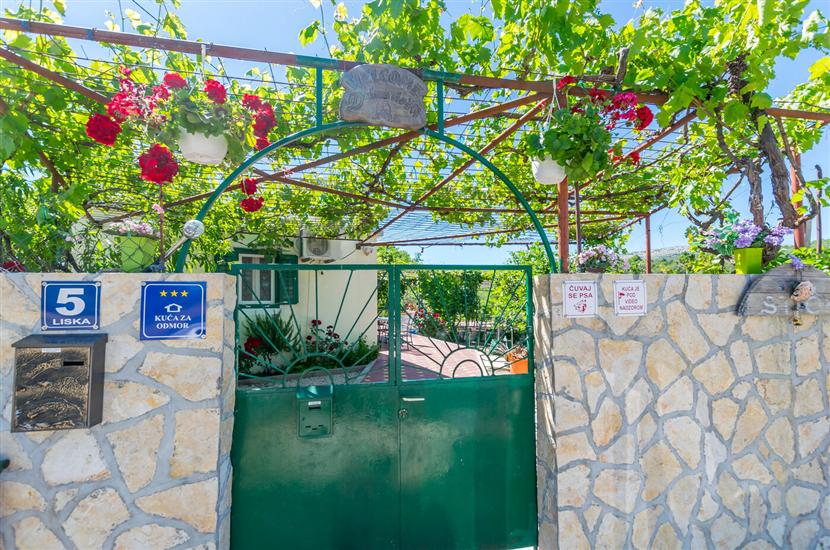 House Green Paradise