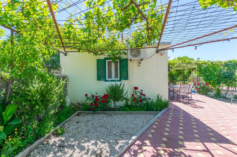 House Green Paradise