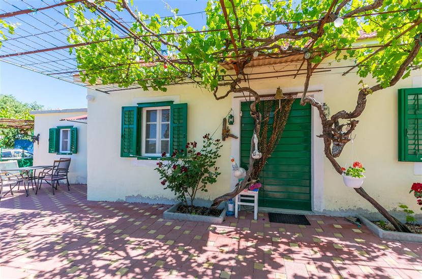 House Green Paradise