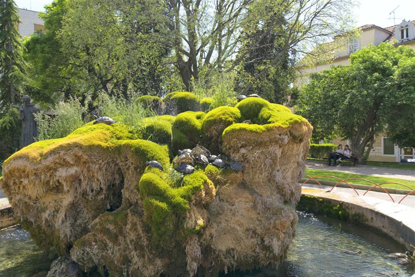 Apartments and Rooms Adriatic Suites