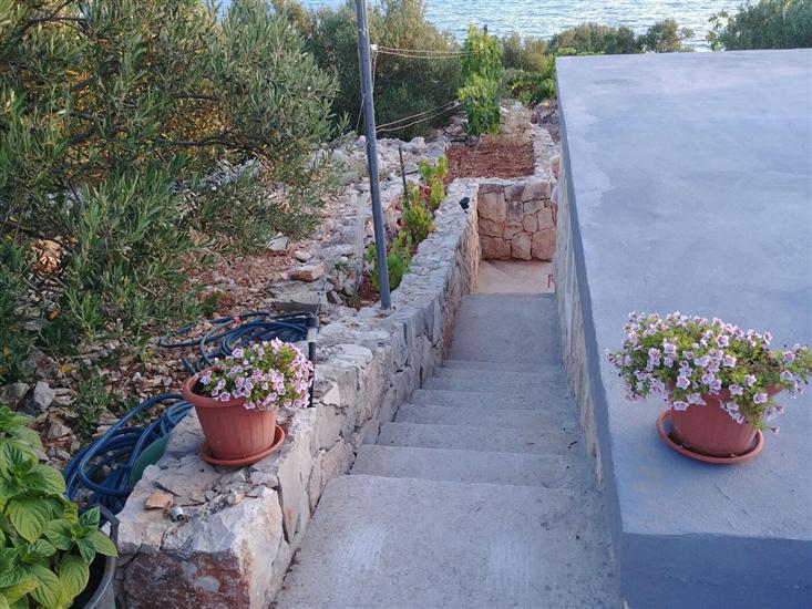 House Robinson house