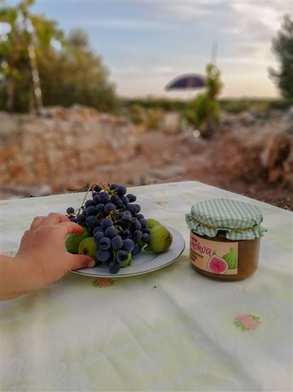 House Robinson house