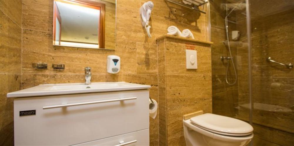 Princess-Eleganza-cabin-bathroom-002