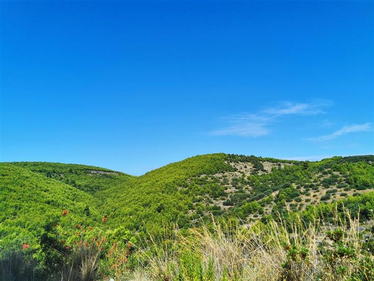 Grščica - otok Korčula