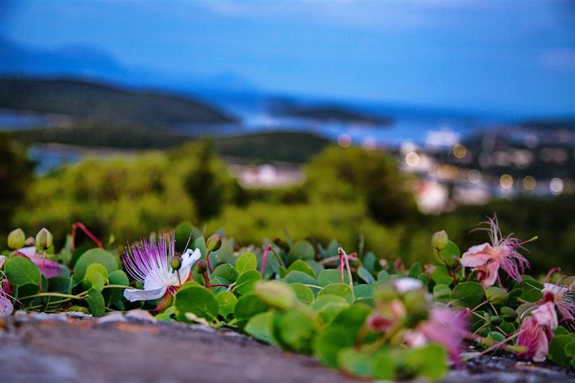 Korcula - island Korcula
