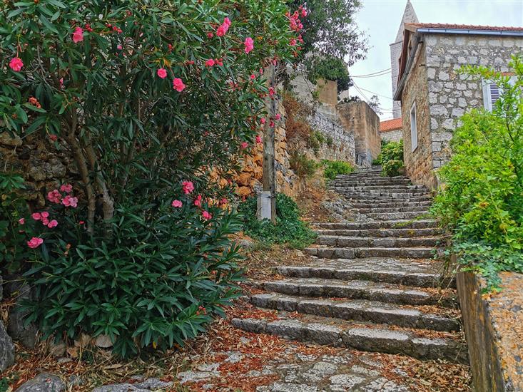 Lastovo - island Lastovo