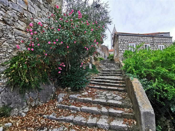 Lastovo - island Lastovo