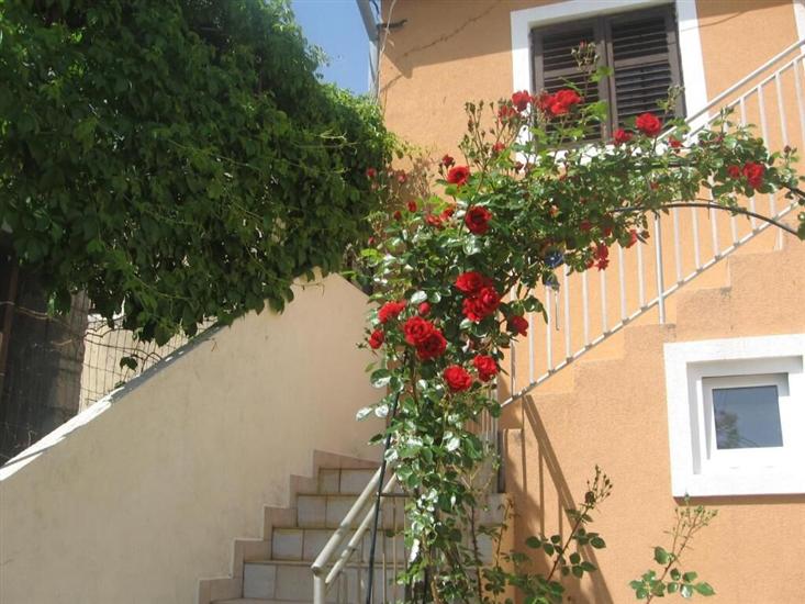 Apartments Svjetlana