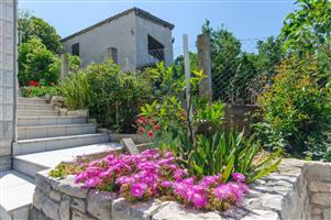 Apartment - Zavalatica