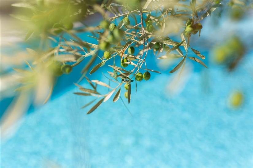 Apartment Margari Villas