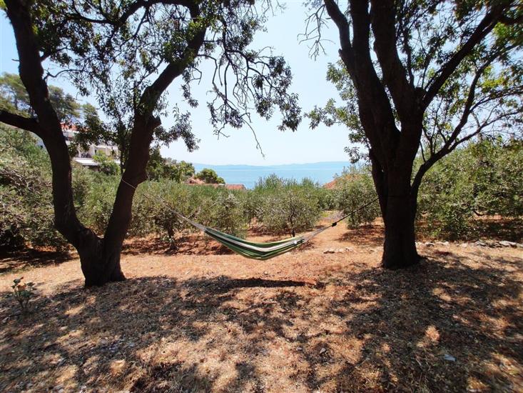 Apartment Robinzon Lantana