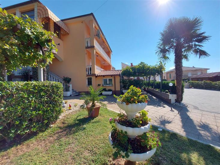 Apartments and Room Boris