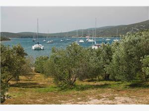 Appartement Les îles de Dalmatie du Nord,RéservezMurtelicaDe 100 €