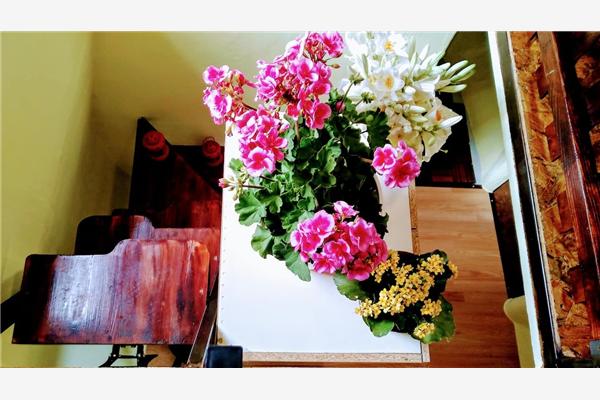 House K1, for 5 persons