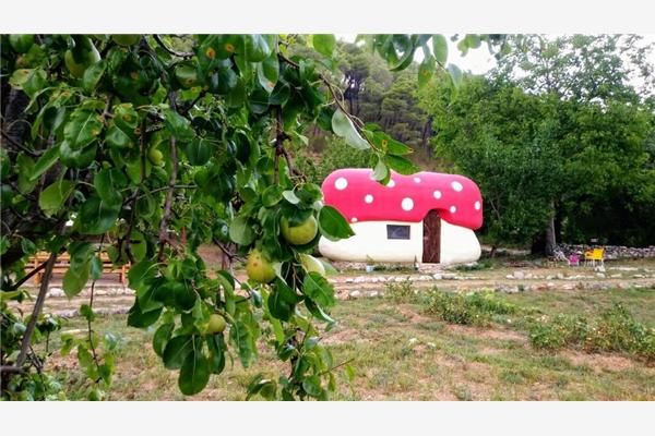 House K1, for 5 persons