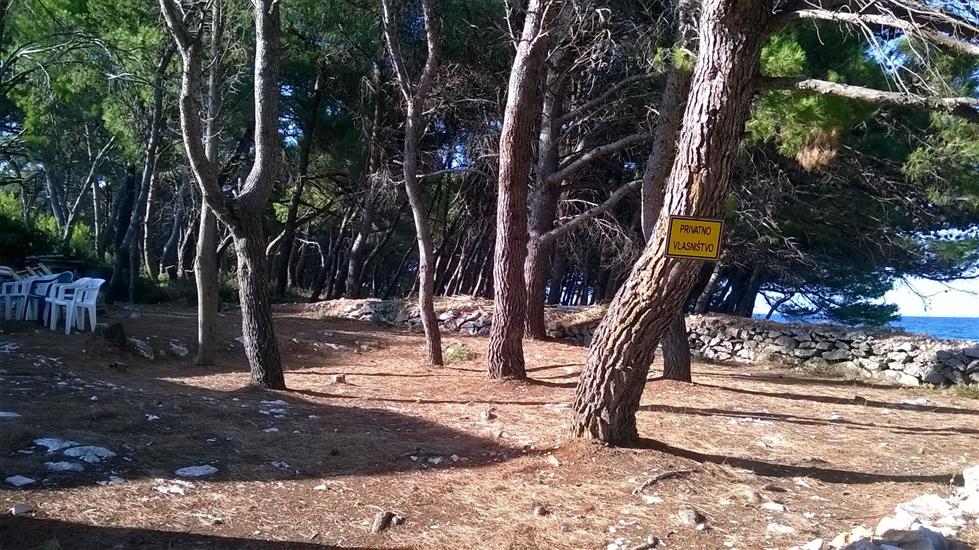 Apartment Apartmani Nataša