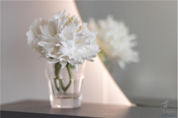 Apartment A1, for 3 persons