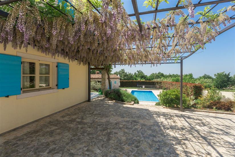 Villa Vista Azzurra s bazenom u zelenoj unutrašnjosti Istre