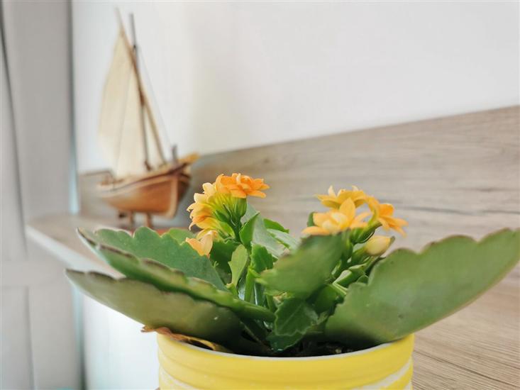 Room A1, for 2 persons