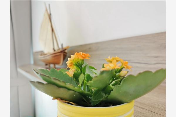 Room A1, for 2 persons