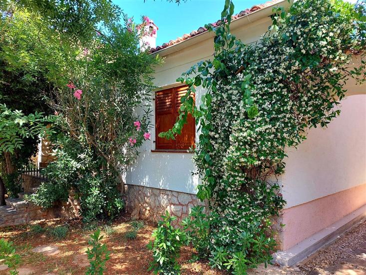 House Leticija  rustica