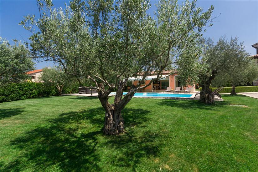 Villa Ulika s bazenom rustikalnog ugođaja