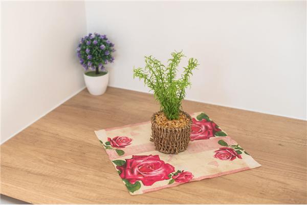 House K1, for 4 persons