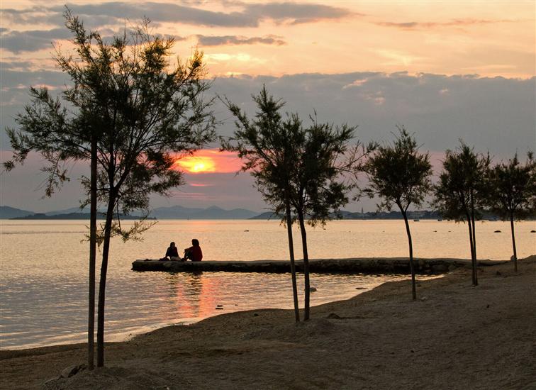 Apartments Dandelion