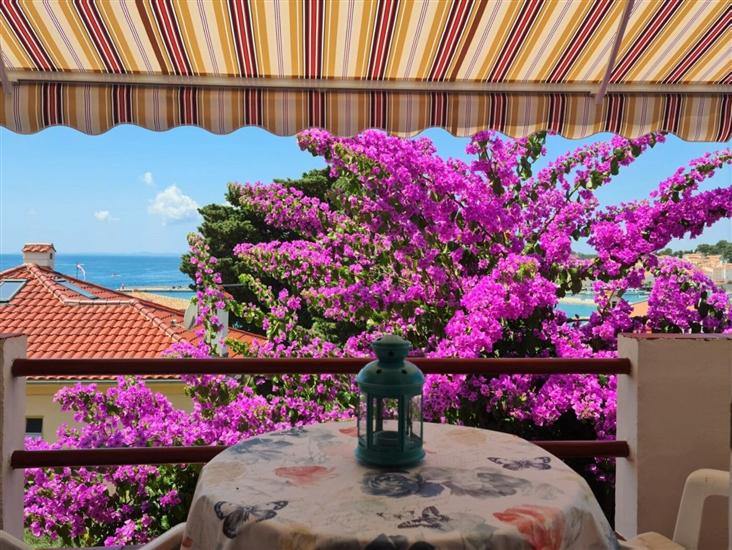 Apartment Villa Strenja