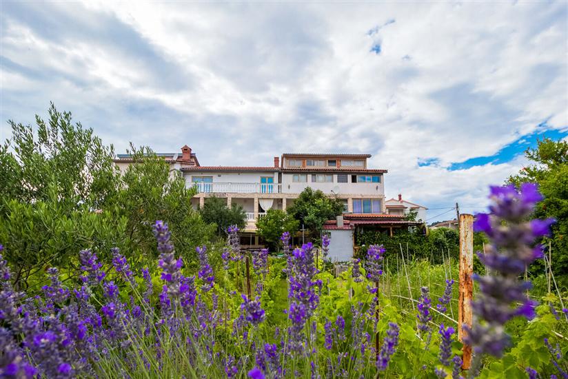 Apartments Željka