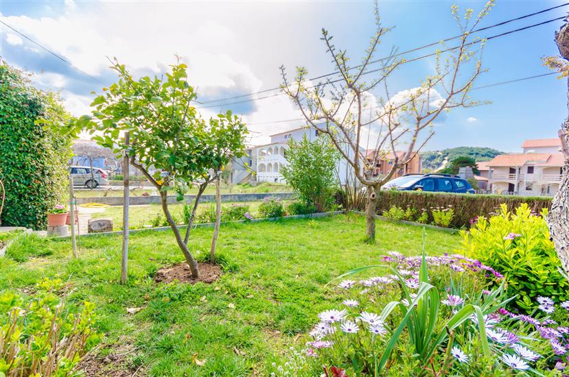 Apartments Mijatović