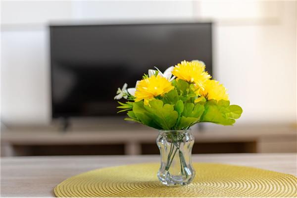 Apartman A2, na 4 osebe