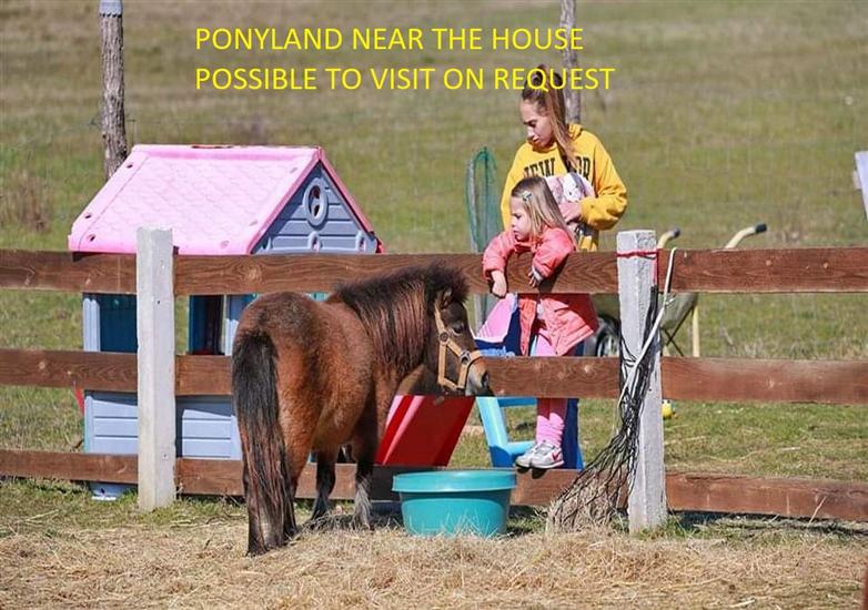 Apartment Cherry Garden