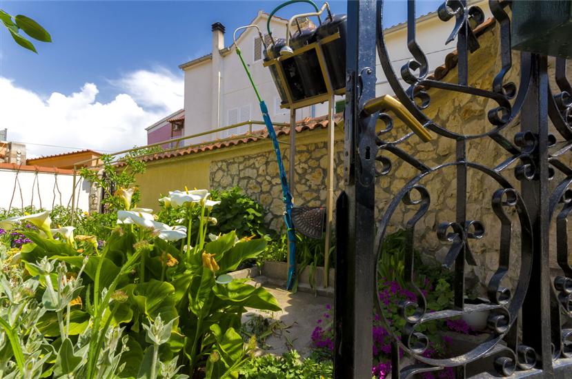 Apartments and Room Lotus