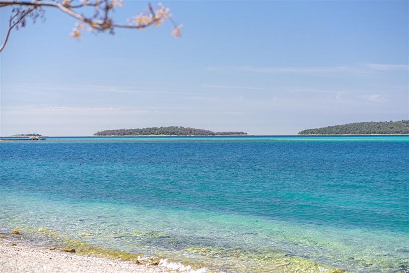 House Luxury Konforta