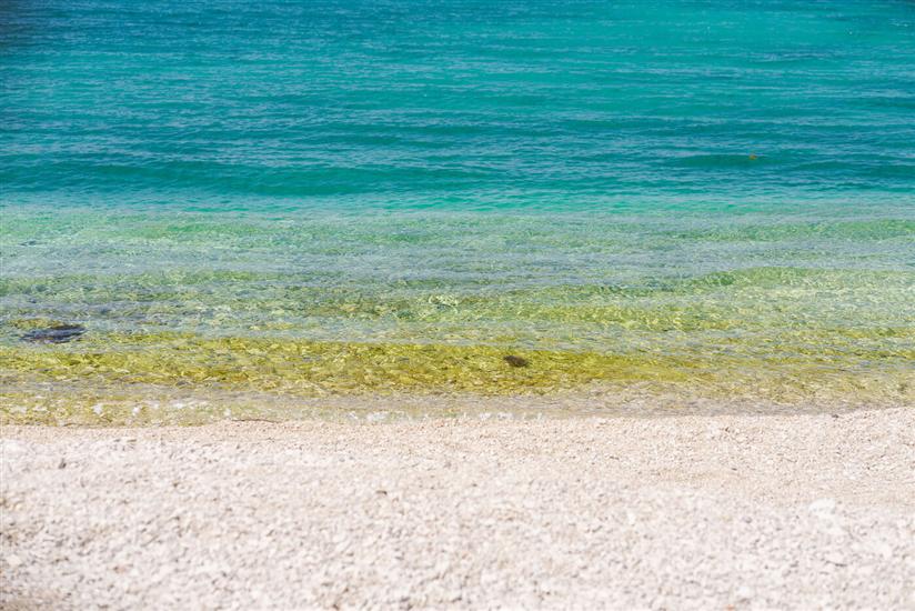 House Luxury Konforta