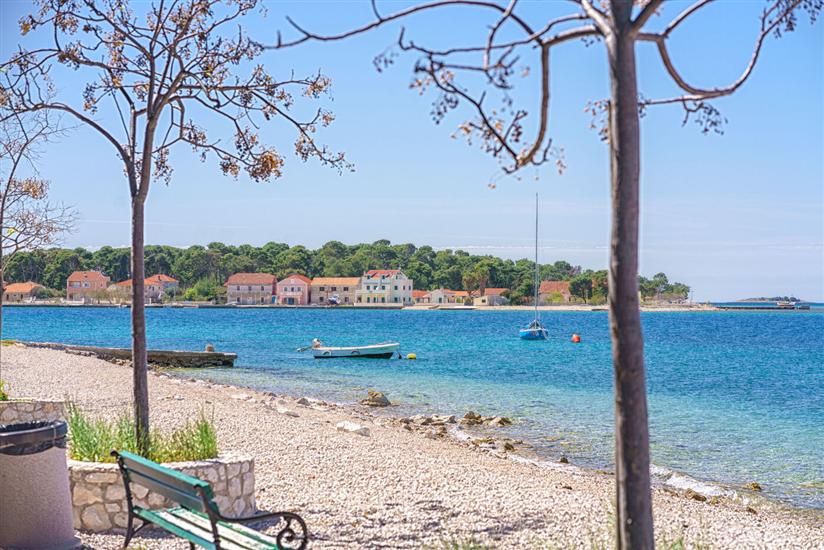 House Luxury Konforta