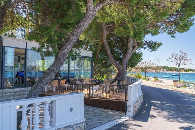 House Luxury Konforta