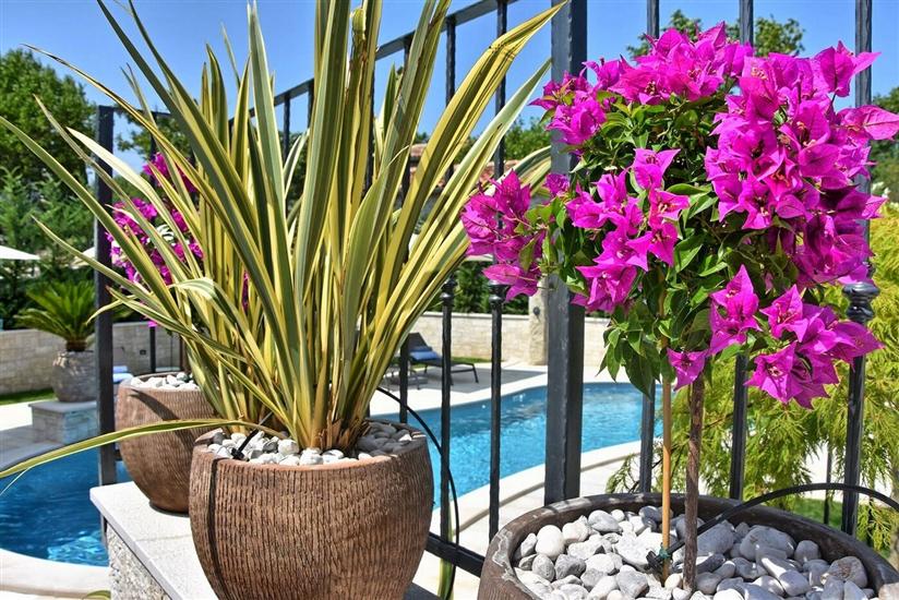 Villa Zita Exclusive