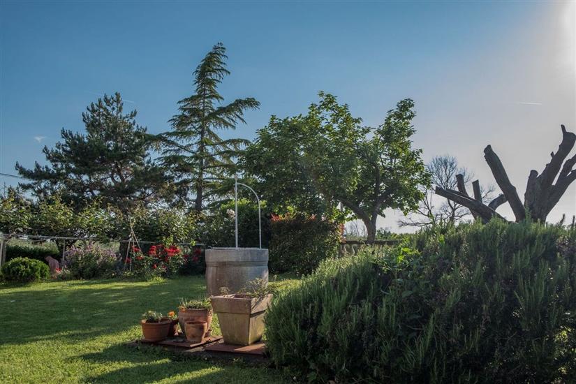 Villa Alberi with pool